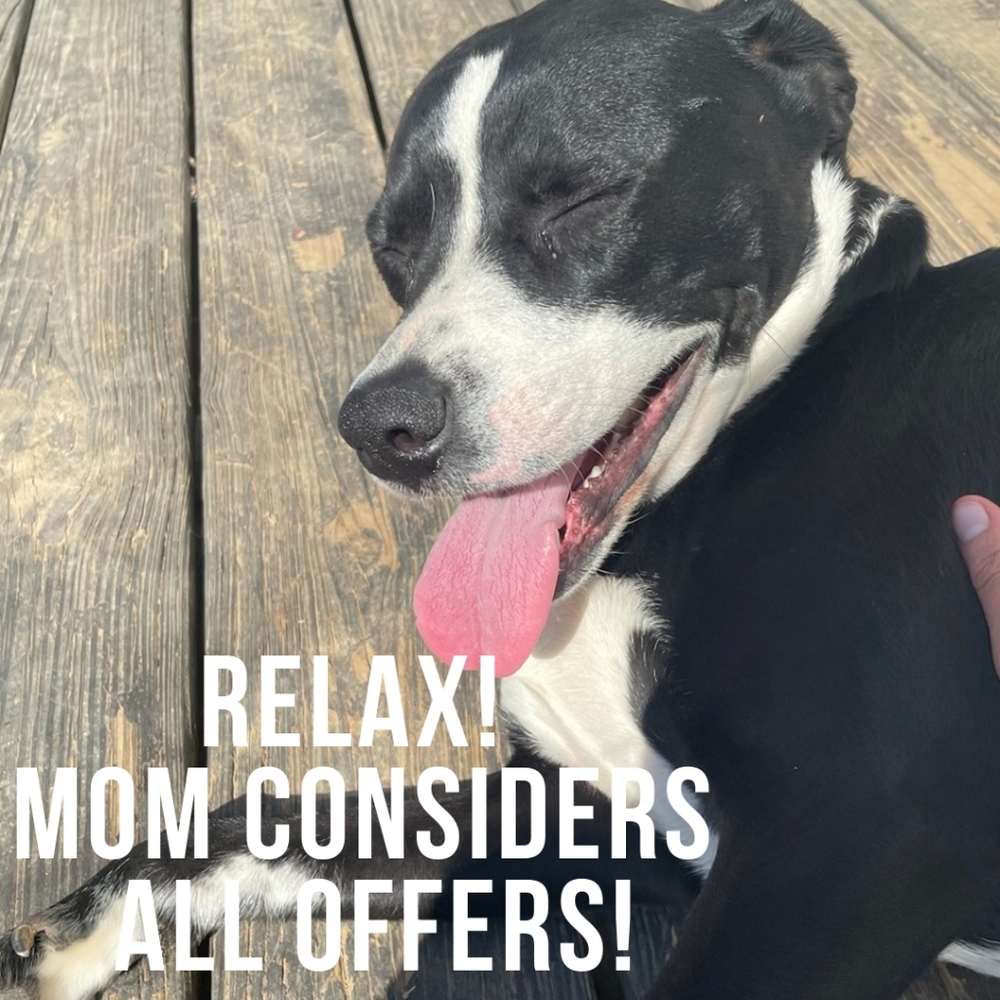 ALL OFFERS WELCOMED!!